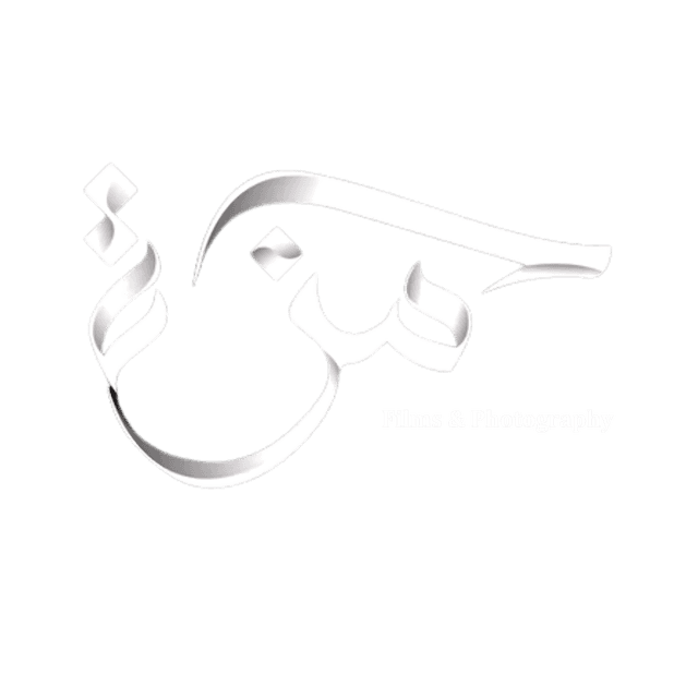 visualsbyhamza logo